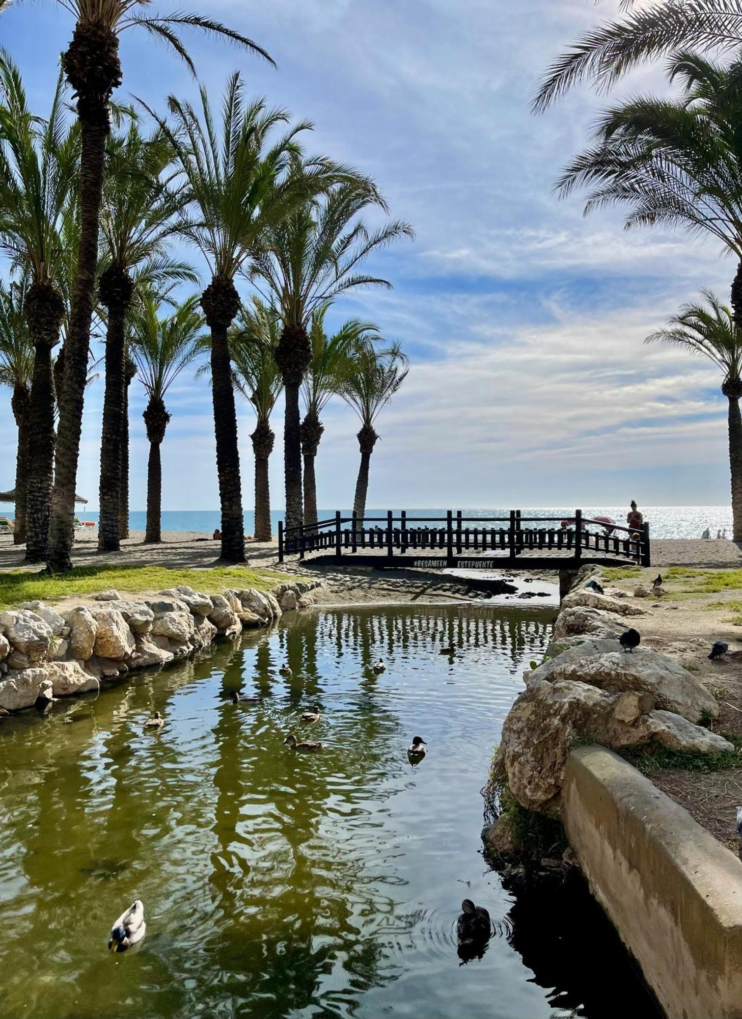 Sunstay Loft Puerto Marina Benalmádena Dış mekan fotoğraf